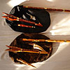 bagpipes